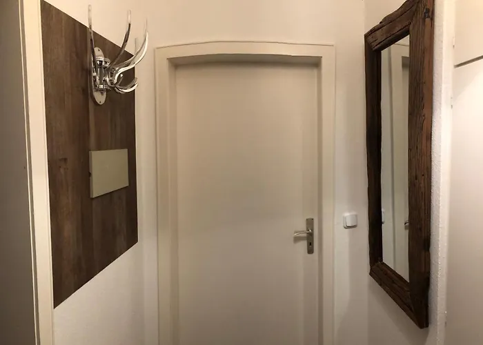 Daire Waschbaerglueck