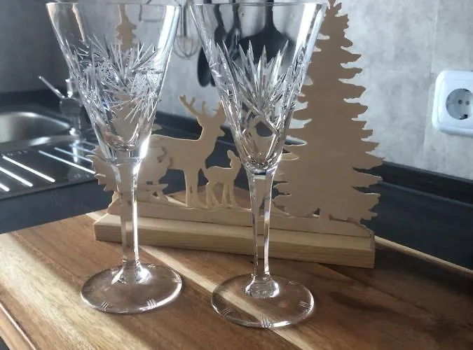 Daire Waschbaerglueck